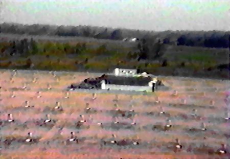 Maple City Drive-In Theatre - Field From Tower From Daryll Burgess (newer photo)